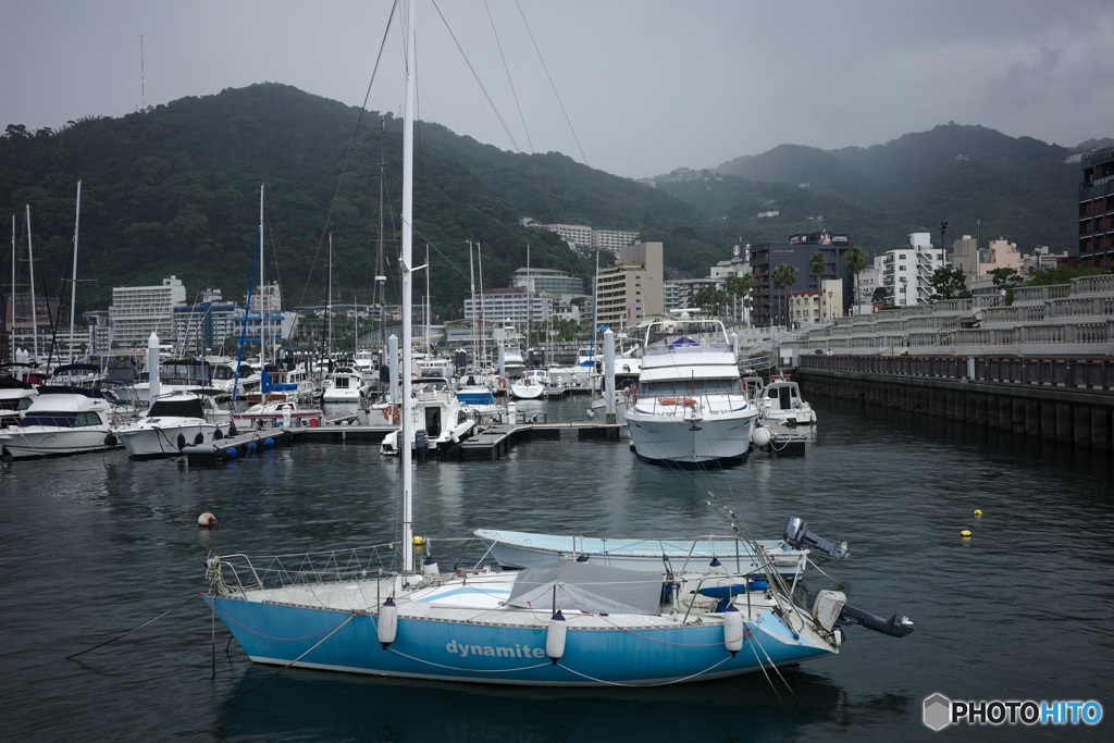 港