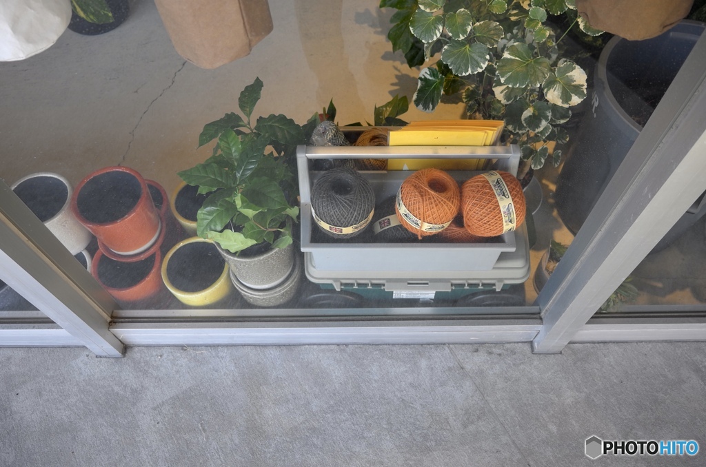 Show window