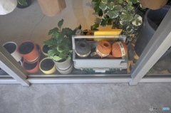 Show window