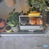 Show window