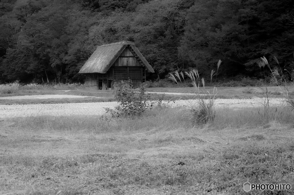 小屋のある風景
