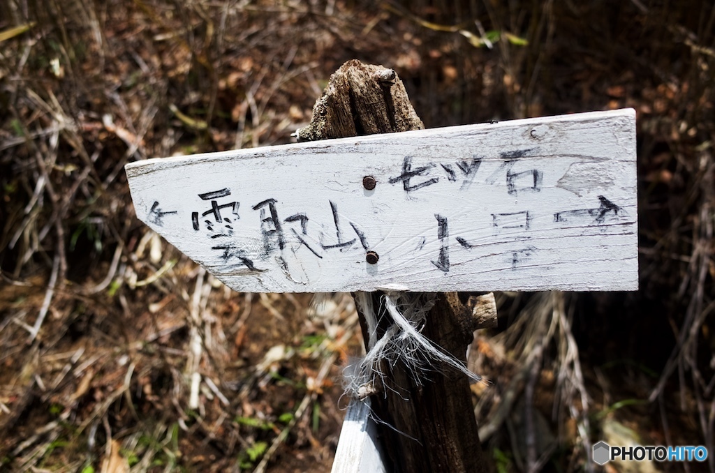 雲取山までもう少し