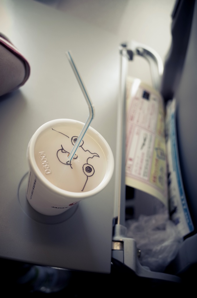 機内に妖怪