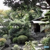 橦木館　茶室