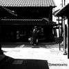 散歩日和