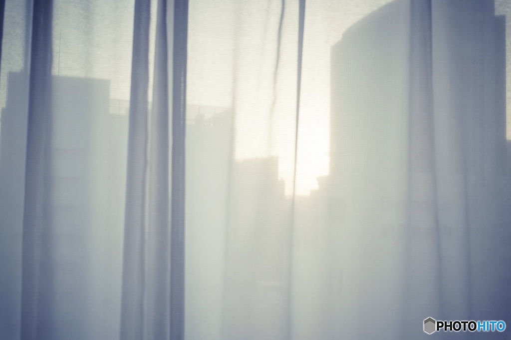 The morning sun