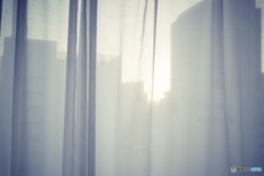 The morning sun