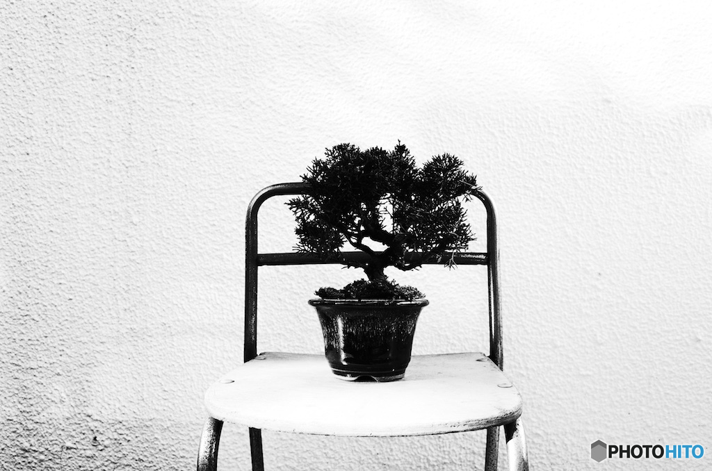 BONSAI