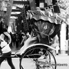 車輪