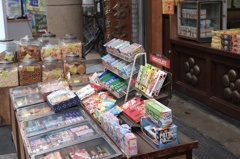 散歩　スナップ