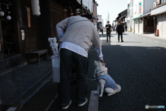 ふつうにカワイイ