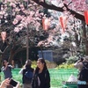 それぞれの主役