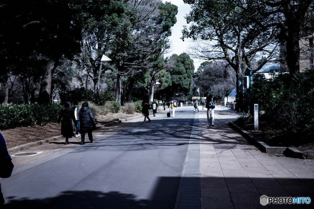 上野公園散歩