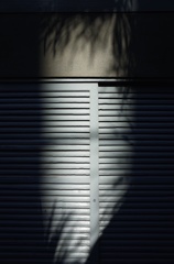 光