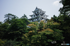 郡上八幡城