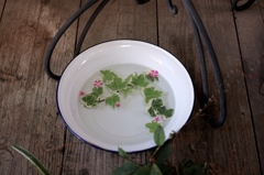 花と洗面器