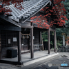 尾張戸神社