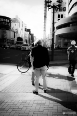 観る
