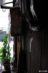 路地ぶらり