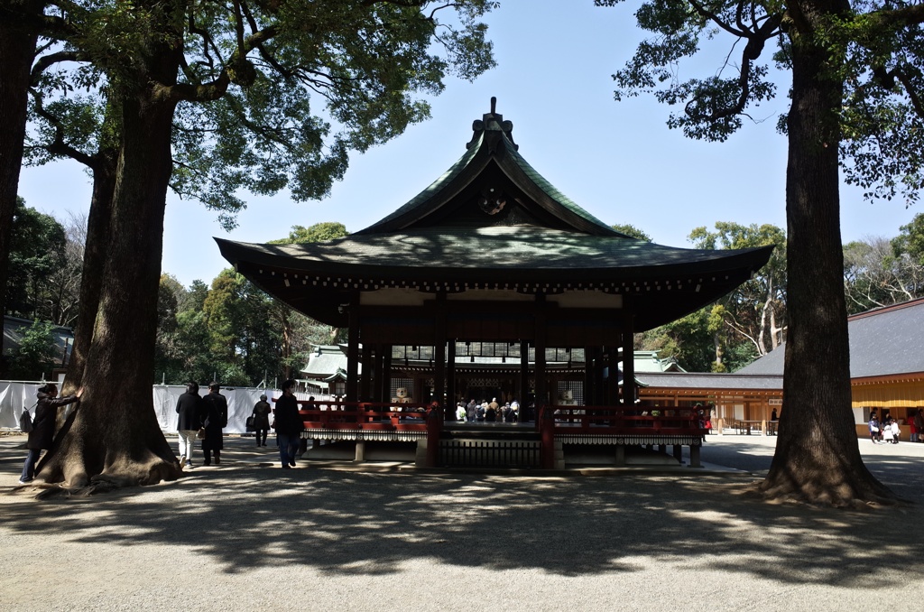 氷川の杜