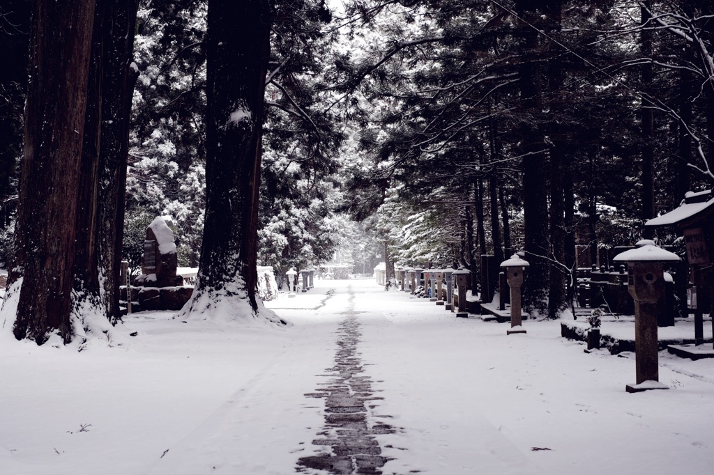 高野山　雪化粧