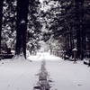 高野山　雪化粧