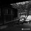揚輝荘