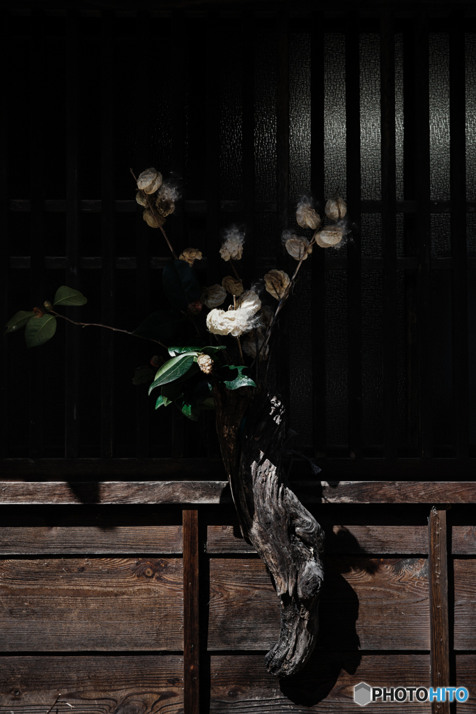 生花