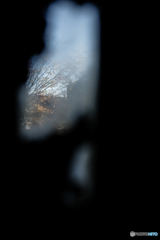 窓の向こうの秋