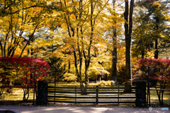 旧軽井沢ぶらり