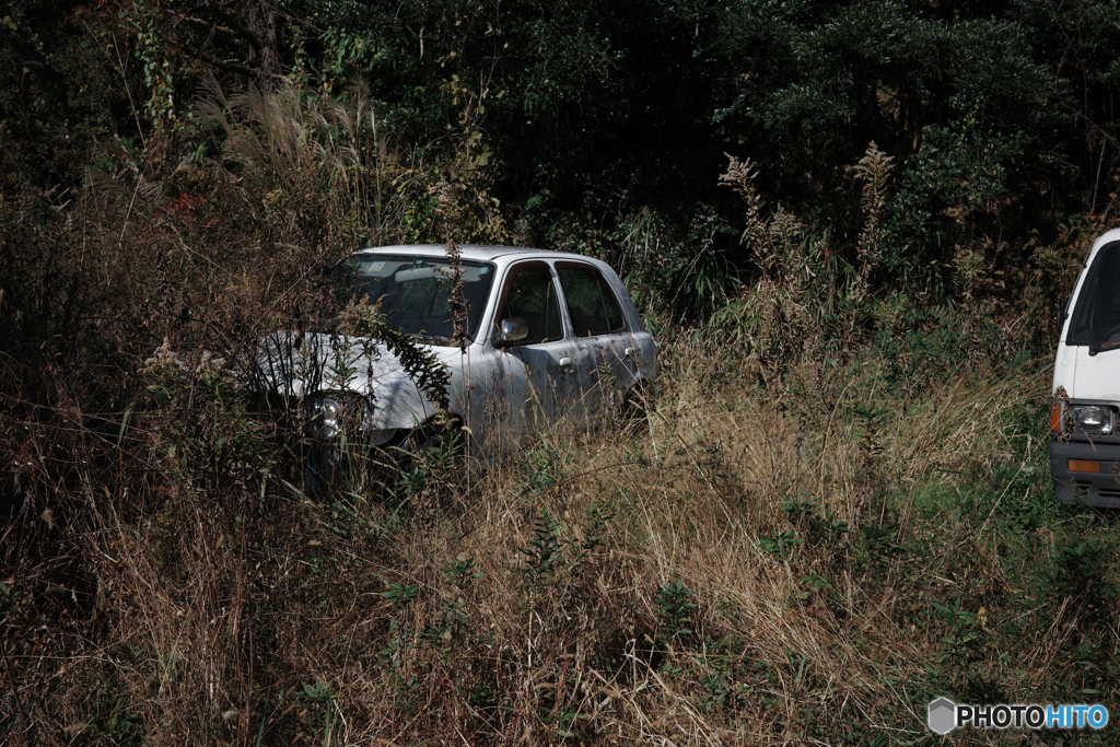 廃車