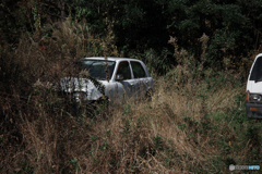 廃車