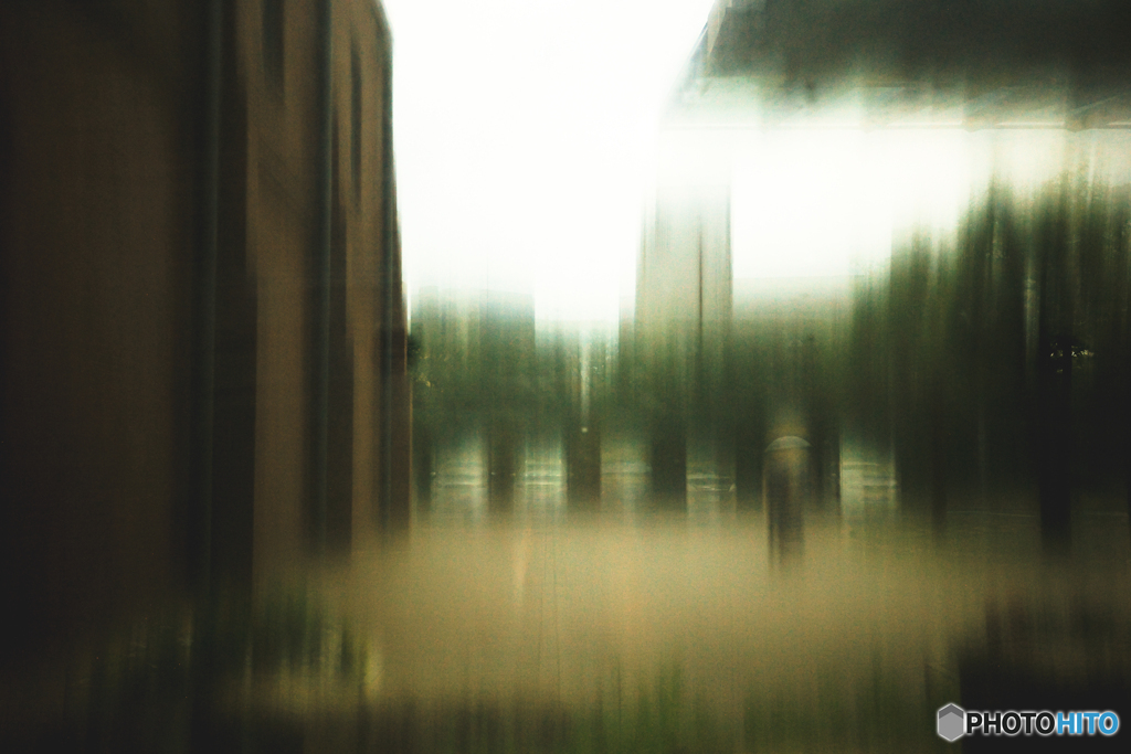 雨の風景