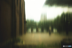 雨の風景