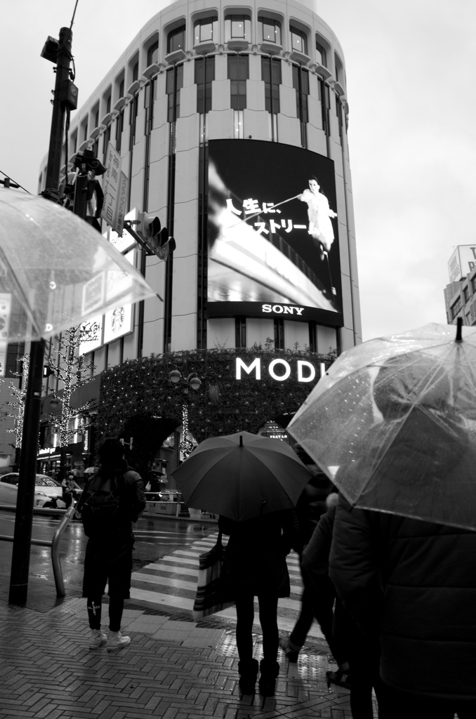 shibuya tokyo