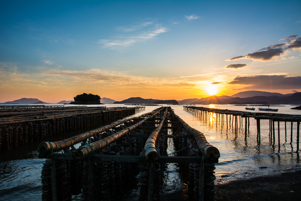 牡蠣棚と夕陽 by カレーライス （ID：3954426） 写真共有サイトPHOTOHITO