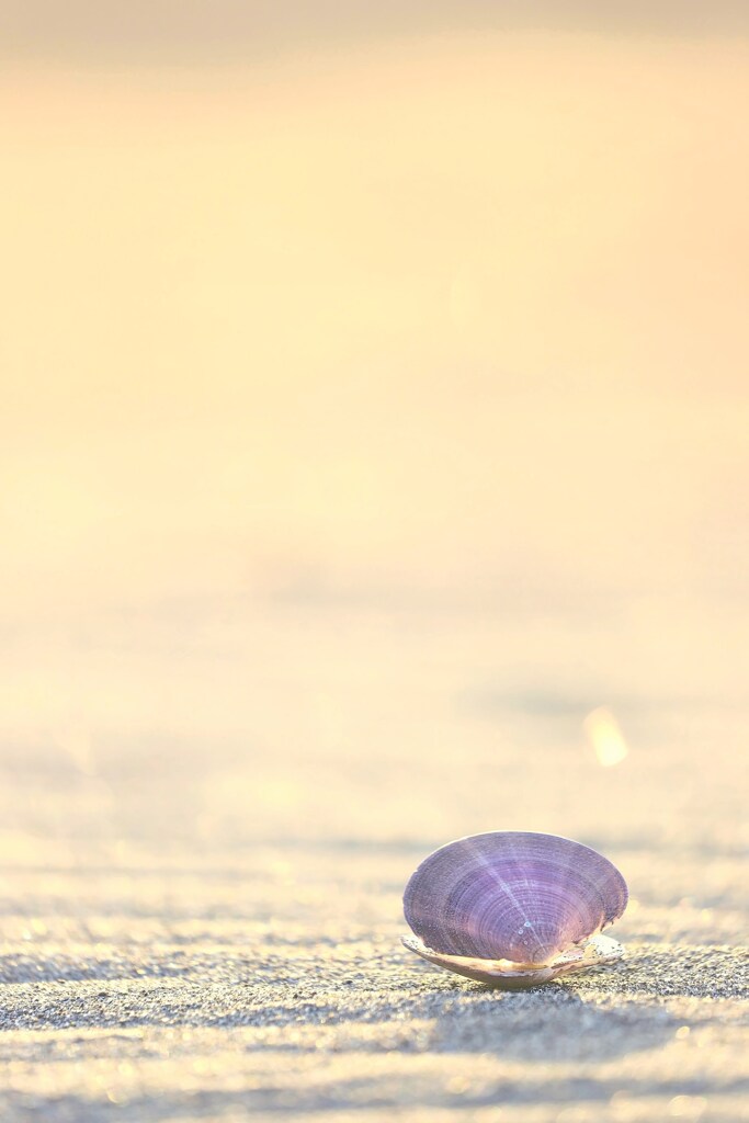 この地球に生きているということ