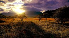 ドラマチックな朝