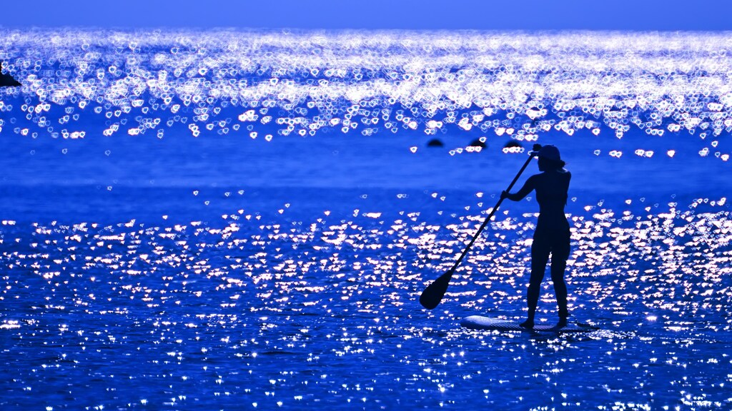 夏を愉しんだ日