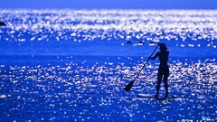 夏を愉しんだ日