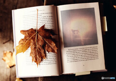 晩秋のフォトブック