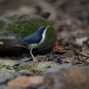 風呂が先か、飯が先か？