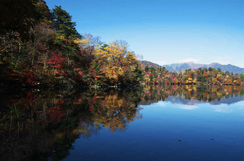 中禅寺湖 　黄葉　　