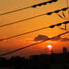 部屋からの夕日2014夏