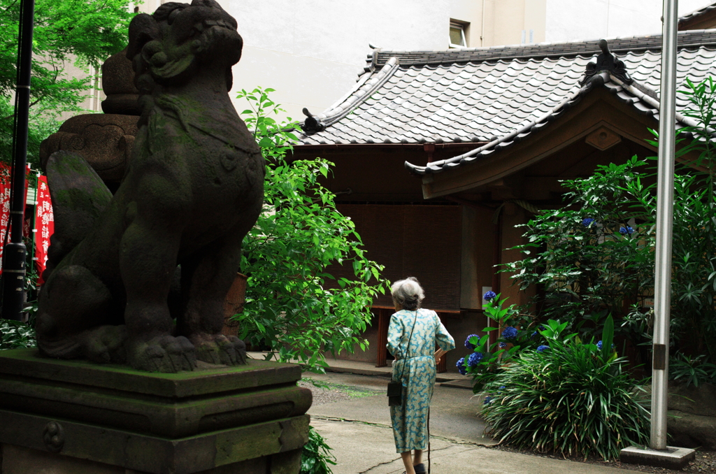 日枝神社　日常