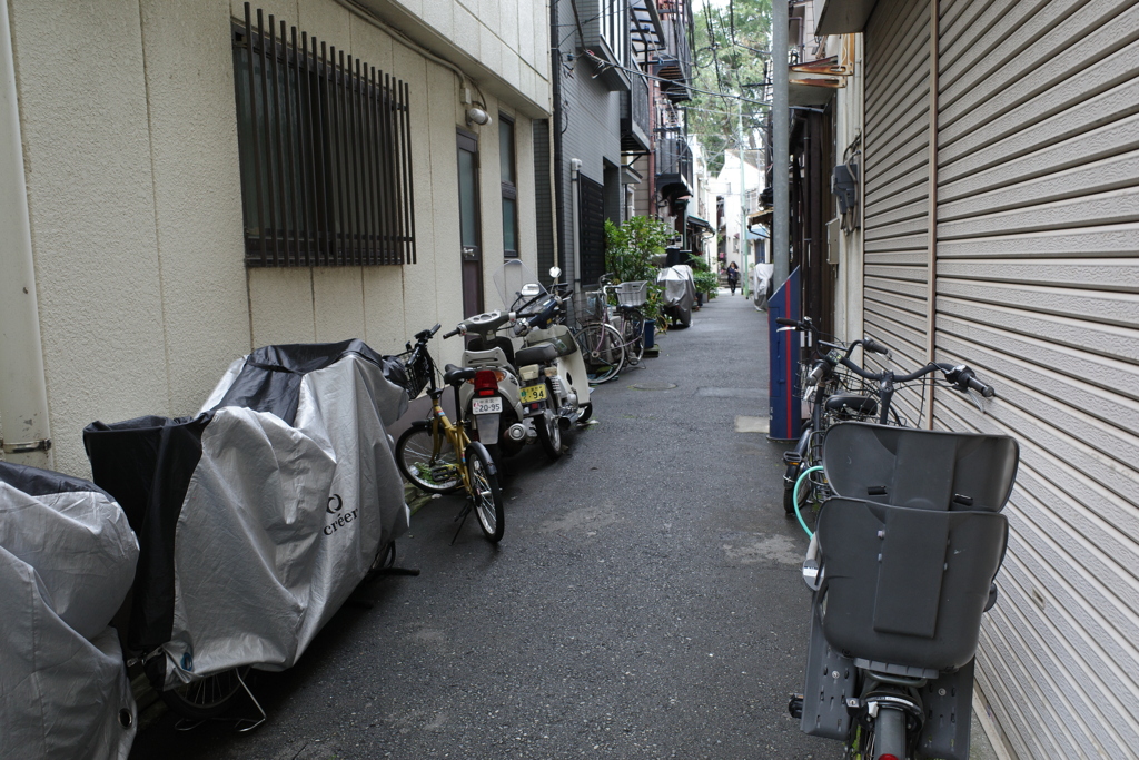路地