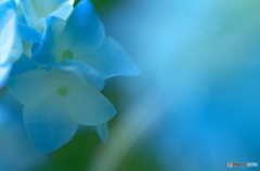 藍より青く２
