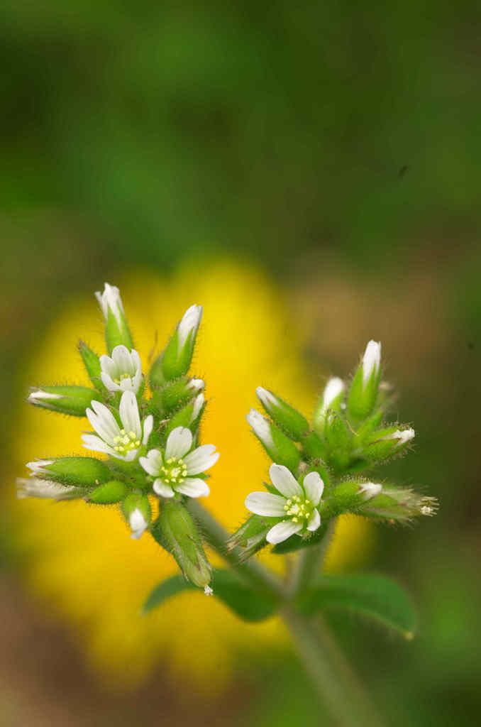 May l　have your name ？2