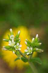 May l　have your name ？2