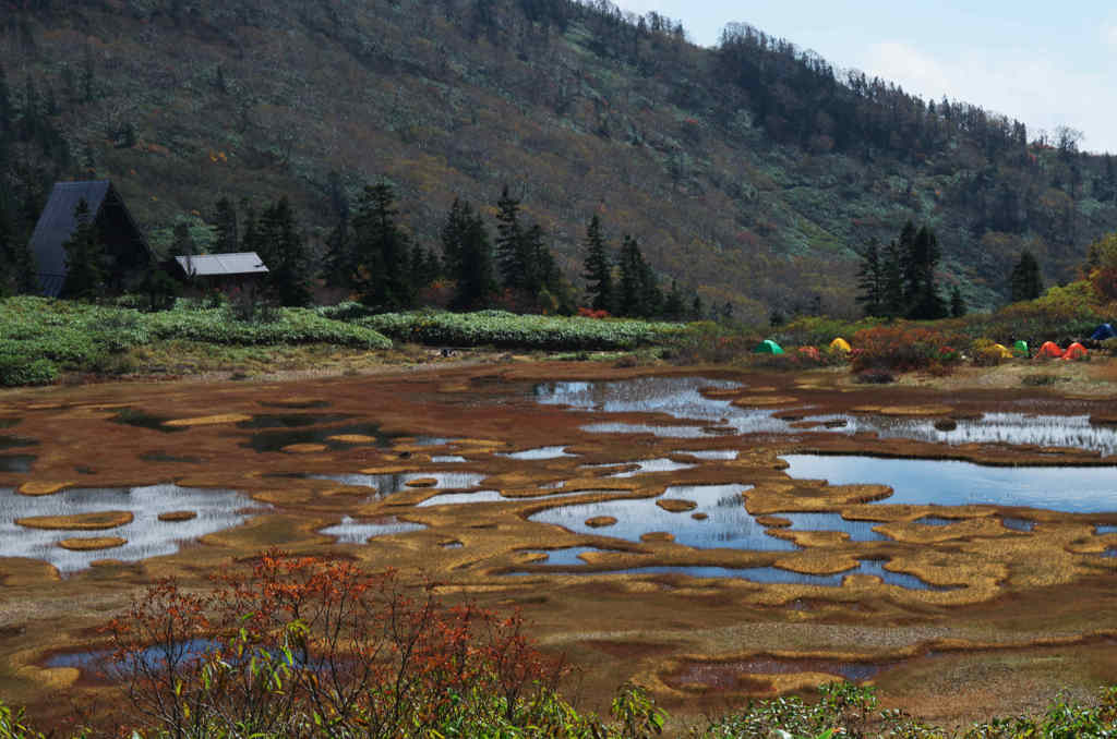 池塘のある風景
